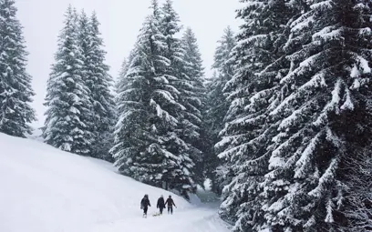 Winterhiking (2)