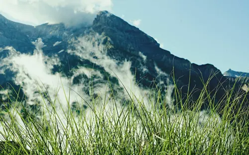 The Cambrian Adelboden Summer Activities 150725 007