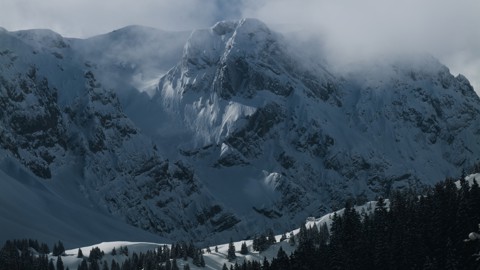 P1060575