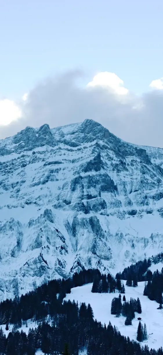 160113 The Cambrian Winter 058 Print (Groß)