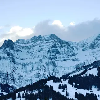 The Cambrian Hotel Adelboden 160113 058