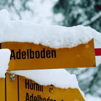 The Cambrian Adelboden Winter Activities Wood Chopping 140110 12