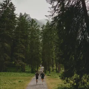 Adelboden Bike 0725 ©Peterbender 290