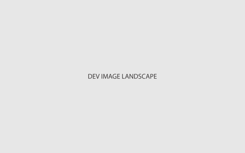 Dev Landscape