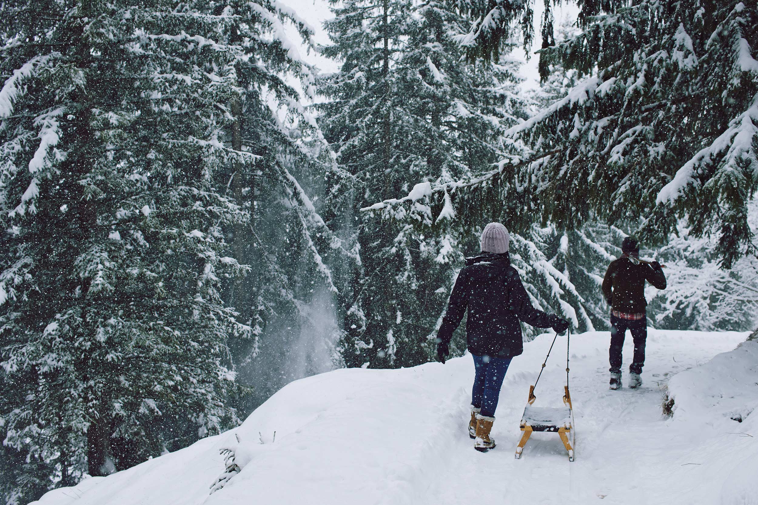 The Cambrian Adelboden Winter Activities Wood Chopping 140110 42
